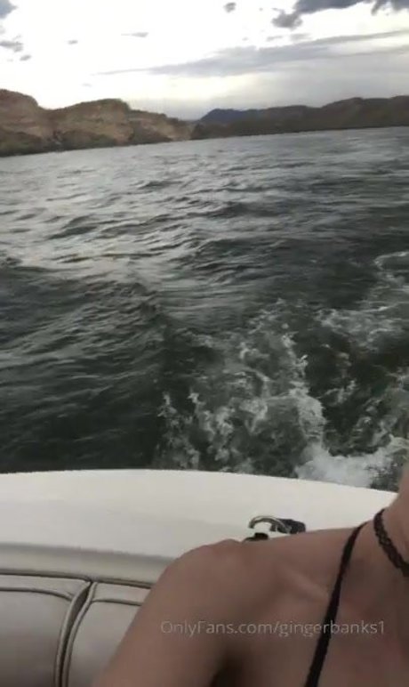 Gingerbanks1