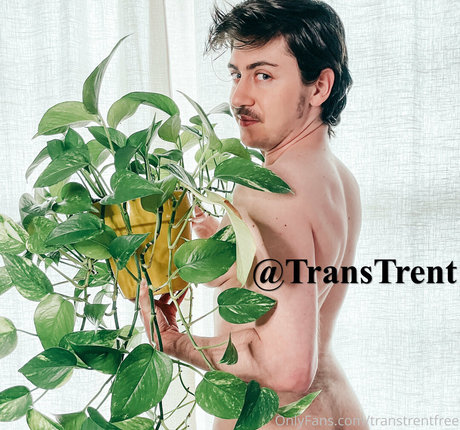 Transtrentfree