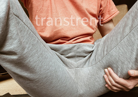 Transtrentfree