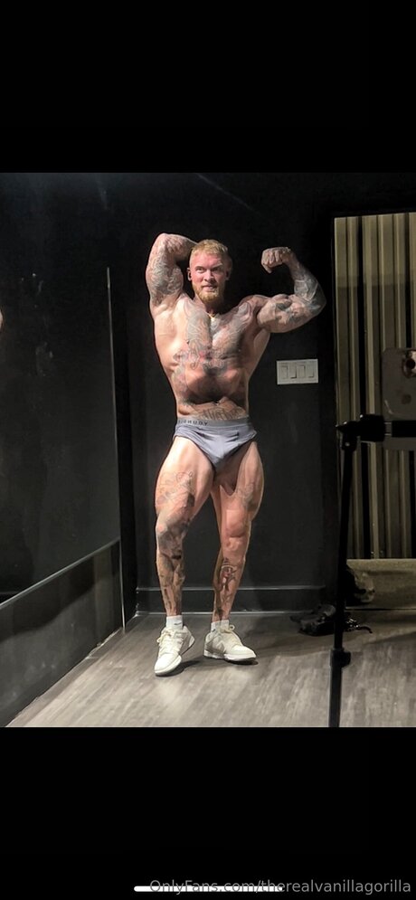 Therealvanillagorilla