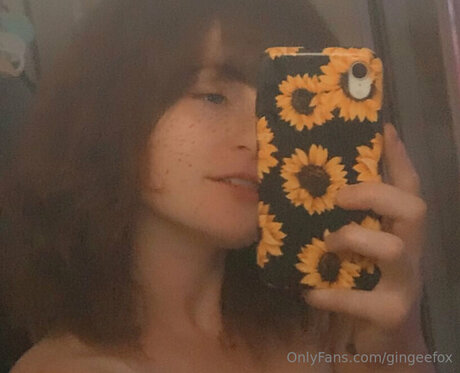 Gingeefox