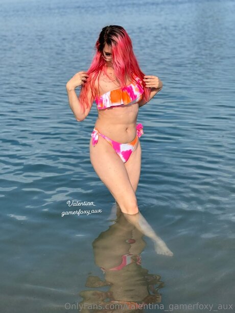 Valentina Gamerfoxy Aux