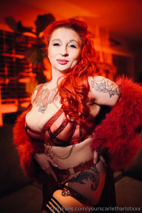 Yourscarletharlotxxx