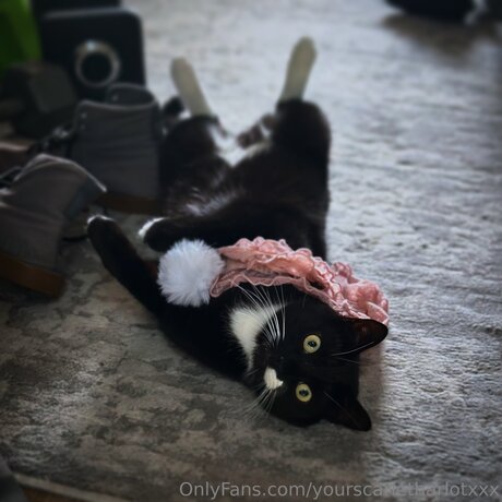 Yourscarletharlotxxx