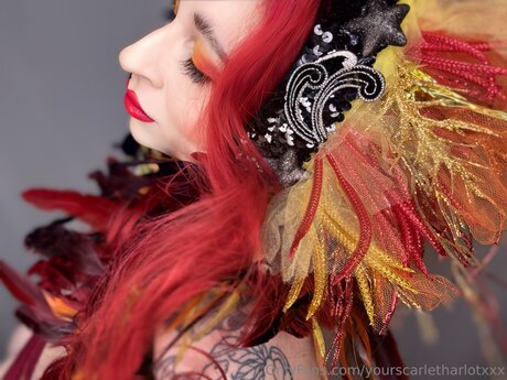 Yourscarletharlotxxx
