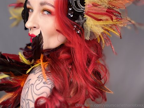 Yourscarletharlotxxx