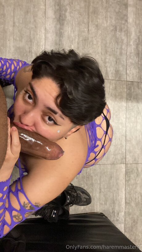Haremmasterx