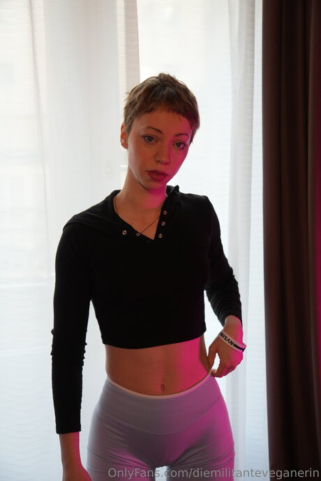 Diemilitanteveganerin