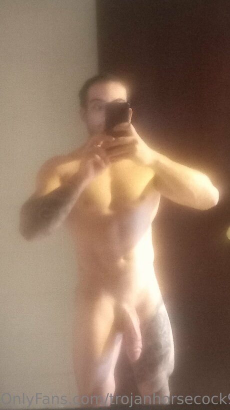 Trojanhorsecock9inches