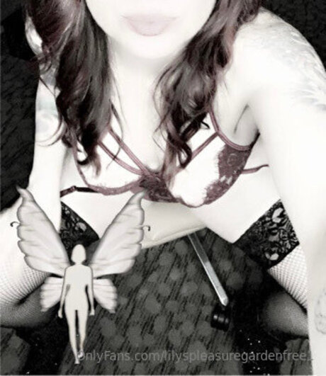 Lilyspleasuregardenfree1