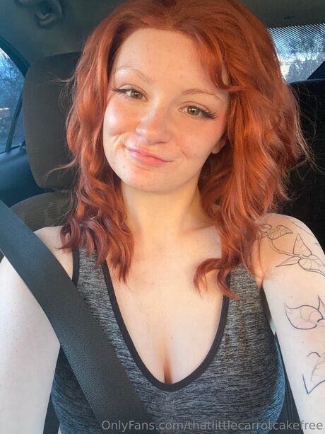 Thatlittlecarrotcakefree