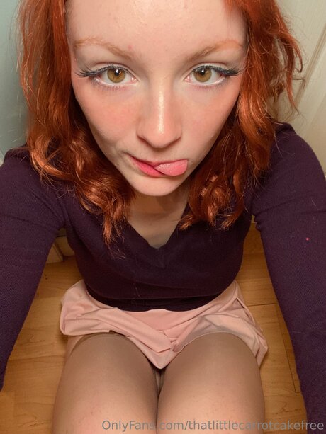 Thatlittlecarrotcakefree