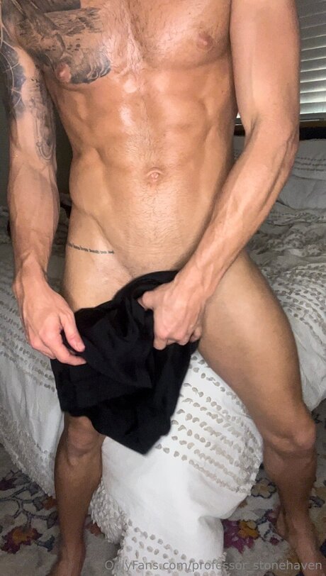 Professor Stonehaven