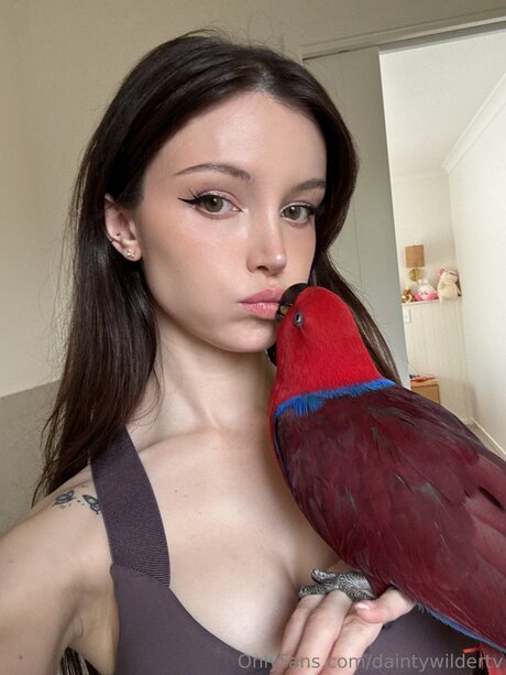 Daintywildertv