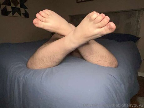 Thebighairyguy2
