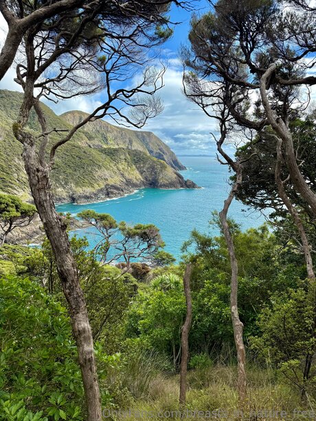 Breasts In Nature Free