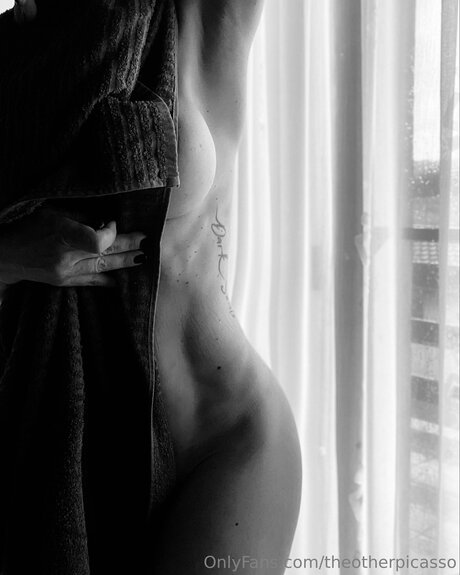 Theotherpicasso