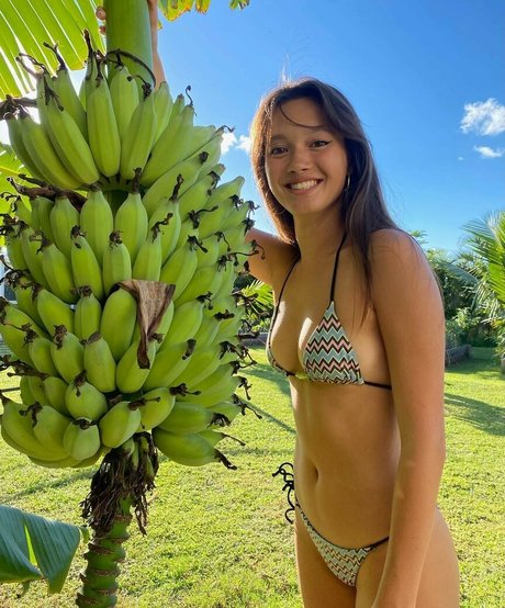 Lilychee