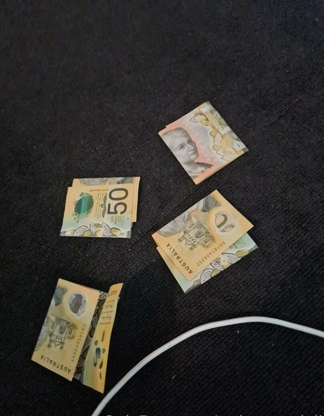 Dramaticdumpsterfree