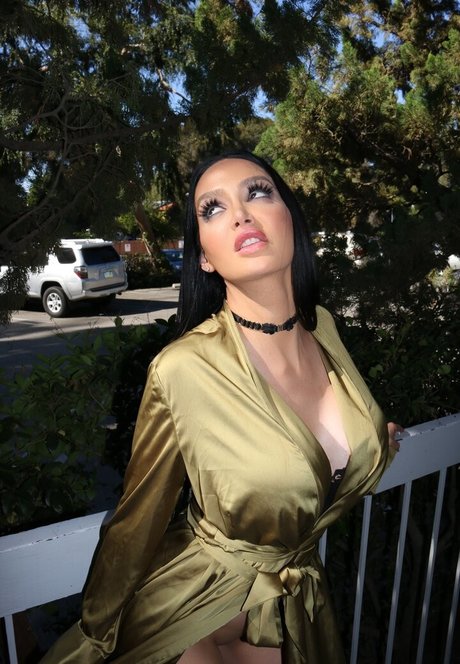 Amyanderssen