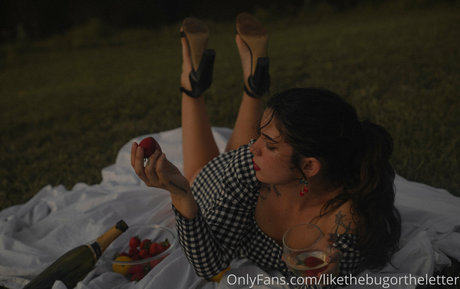 Likethebugortheletter