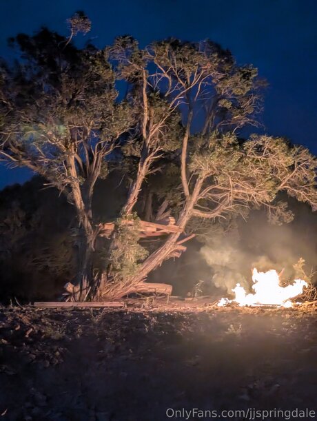 Jjspringdale