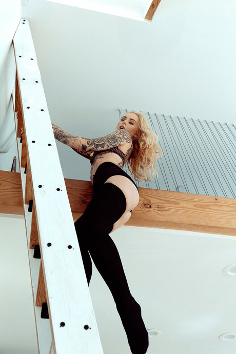Alysha Nett