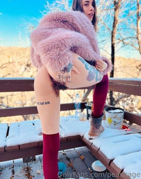 Pearl Sage  Hairy Queen