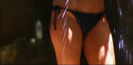 Ich Bin Ein Star  Holt Mich Hier Raus