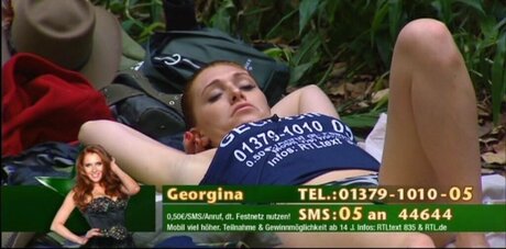 Ich Bin Ein Star  Holt Mich Hier Raus