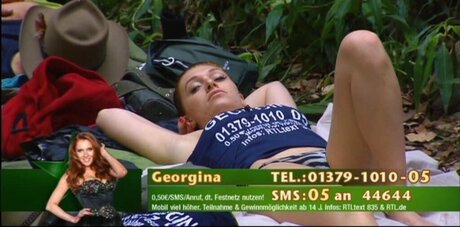 Ich Bin Ein Star  Holt Mich Hier Raus