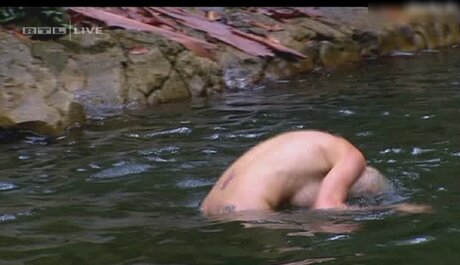 Ich Bin Ein Star  Holt Mich Hier Raus