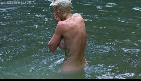 Ich Bin Ein Star  Holt Mich Hier Raus