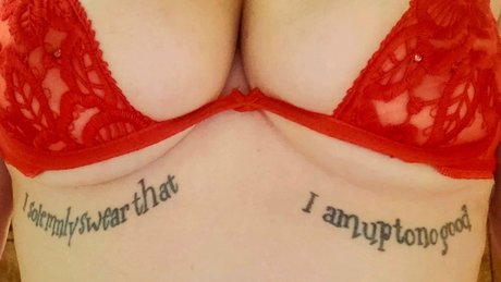 Lola And Mr Mustache