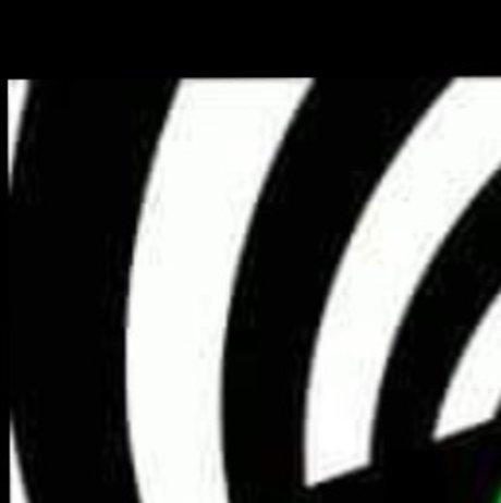 Mittenskitten And Phydohousedog