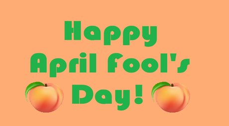 Brittrachelleupdates