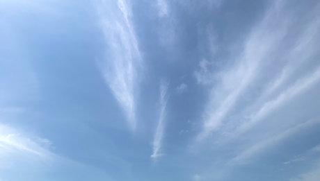 Nikki Free  Inactive