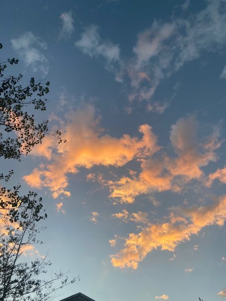 Prince Ambrose Quartz