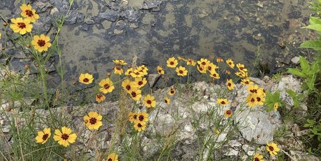 Bananacakes  nude leaked OnlyFans photo