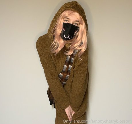 Femboycherryblossom