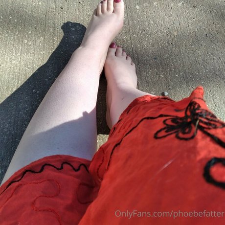 Phoebefatter