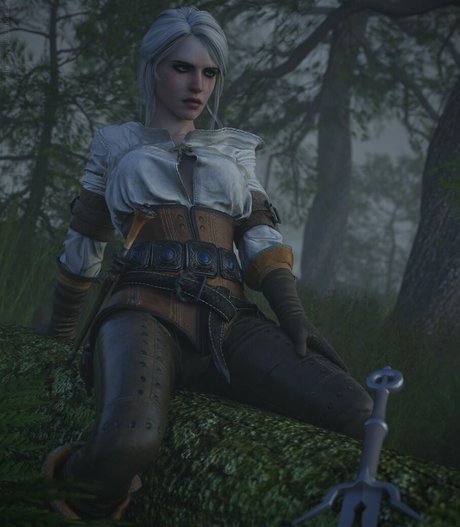 The Witcher