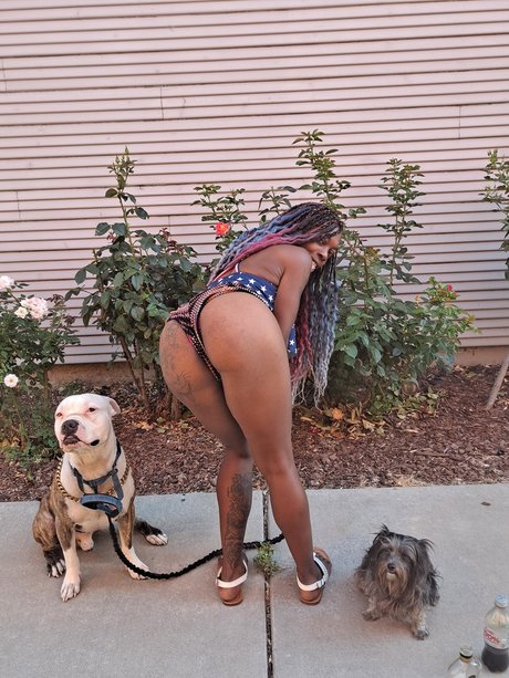  La Ebonita  Hosting In Sac 