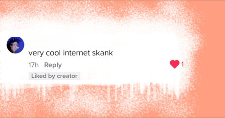 Internet Skank
