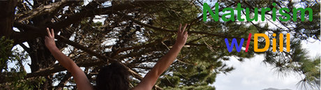 The Ratedr Superstar Dill