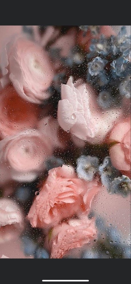 Nelly   nude leaked OnlyFans photo