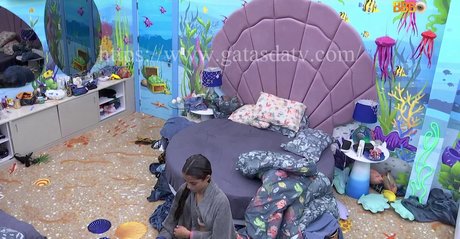 Big Brother Brasil 23