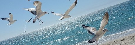 Aneth Michel  nude leaked OnlyFans photo