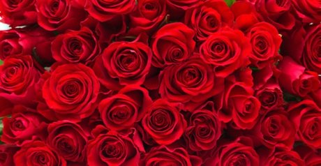 Eastafricangoddess  nude leaked OnlyFans photo