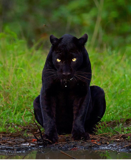 Zeek  nude leaked OnlyFans photo